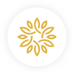 你去过平西府么么